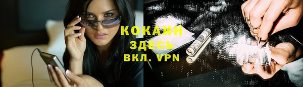 дживик Наволоки