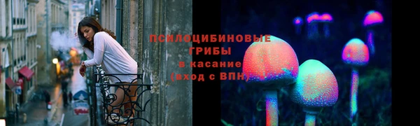 дживик Наволоки