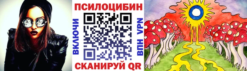сайты даркнета наркотические препараты где купить наркотик Полтавская Галлюциногенные грибы Psilocybine cubensis